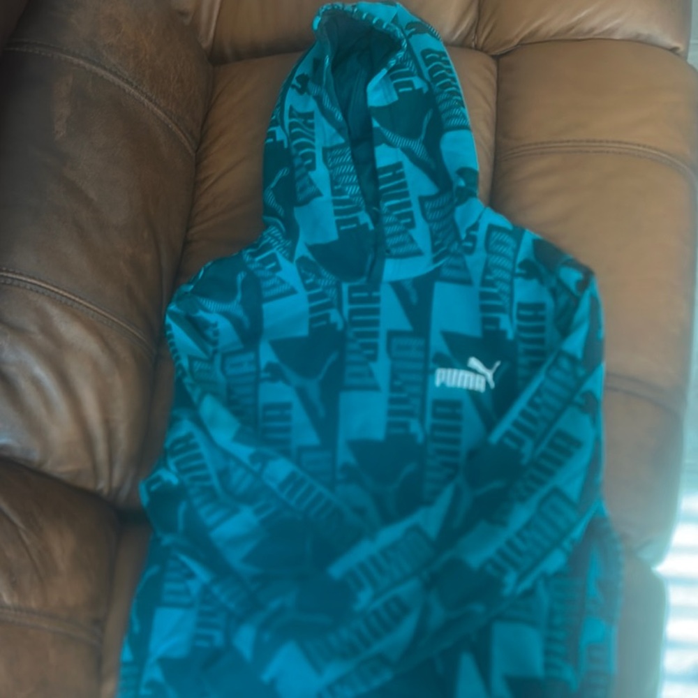 Puma Teal Hoodie